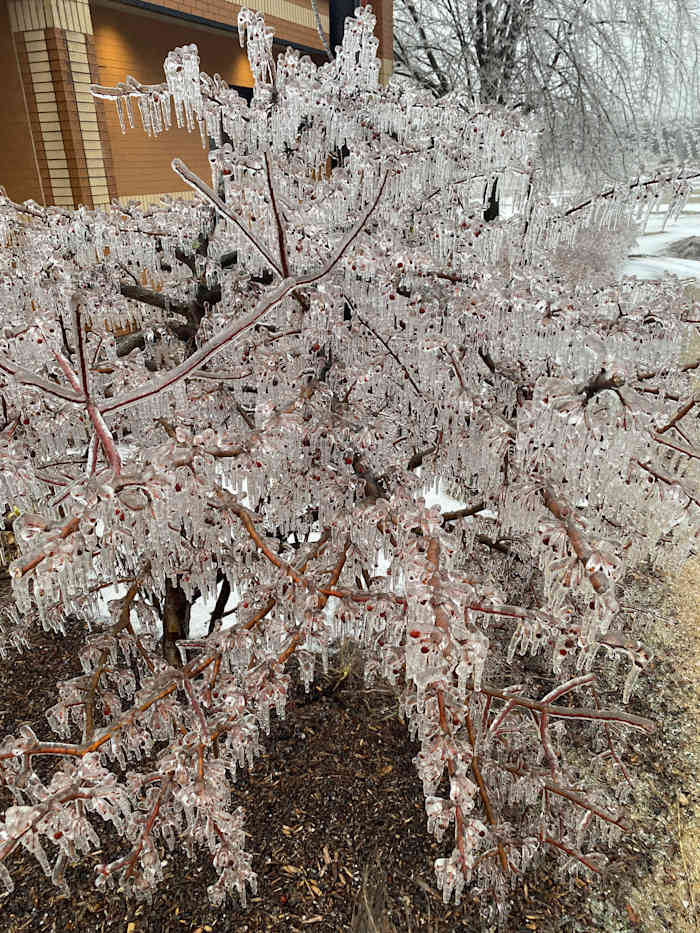 Rain turns to ice, cuts power in Great Lakes region while Tennessee braces for wild weather