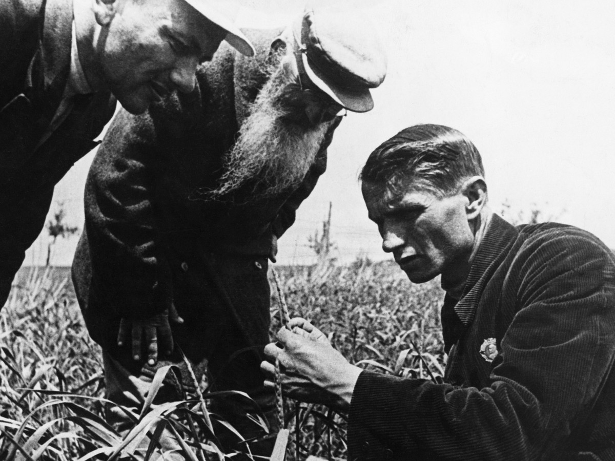 “Make America Healthy Again”: The new Lysenkoism