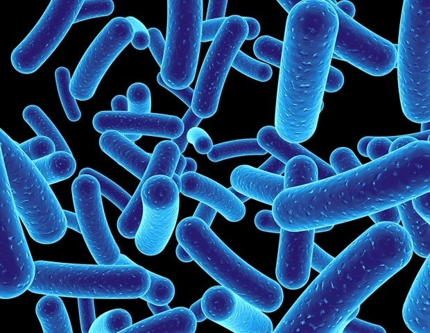 Gut bacteria may reduce the effectiveness of common medications