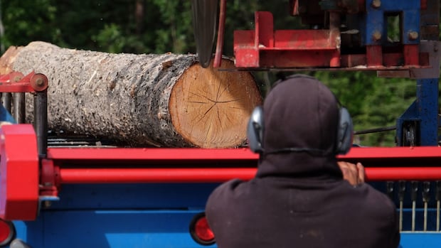 U.S. set to significantly hike softwood lumber duties against Canada