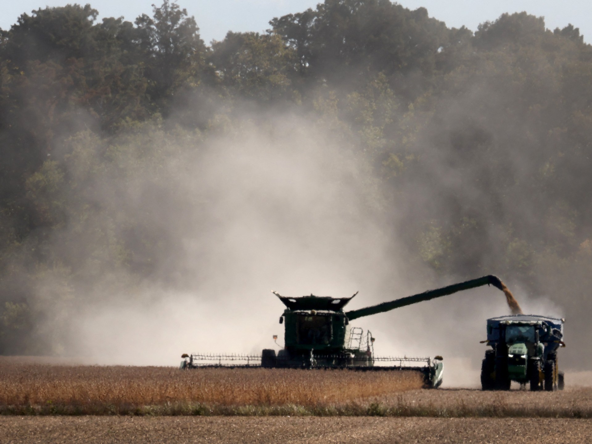 Soybeans: China and EU’s secret weapon against Trump’s tariff wars?