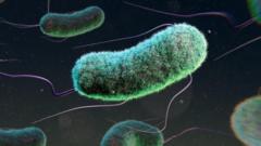 Three million child deaths linked to drug resistance, study shows