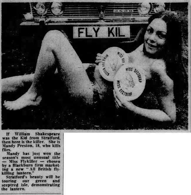 miss-flykiller