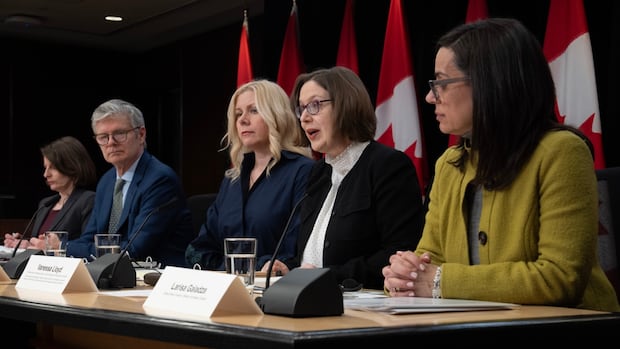 As foreign actors work to influence Canada’s election, how safe is your vote?