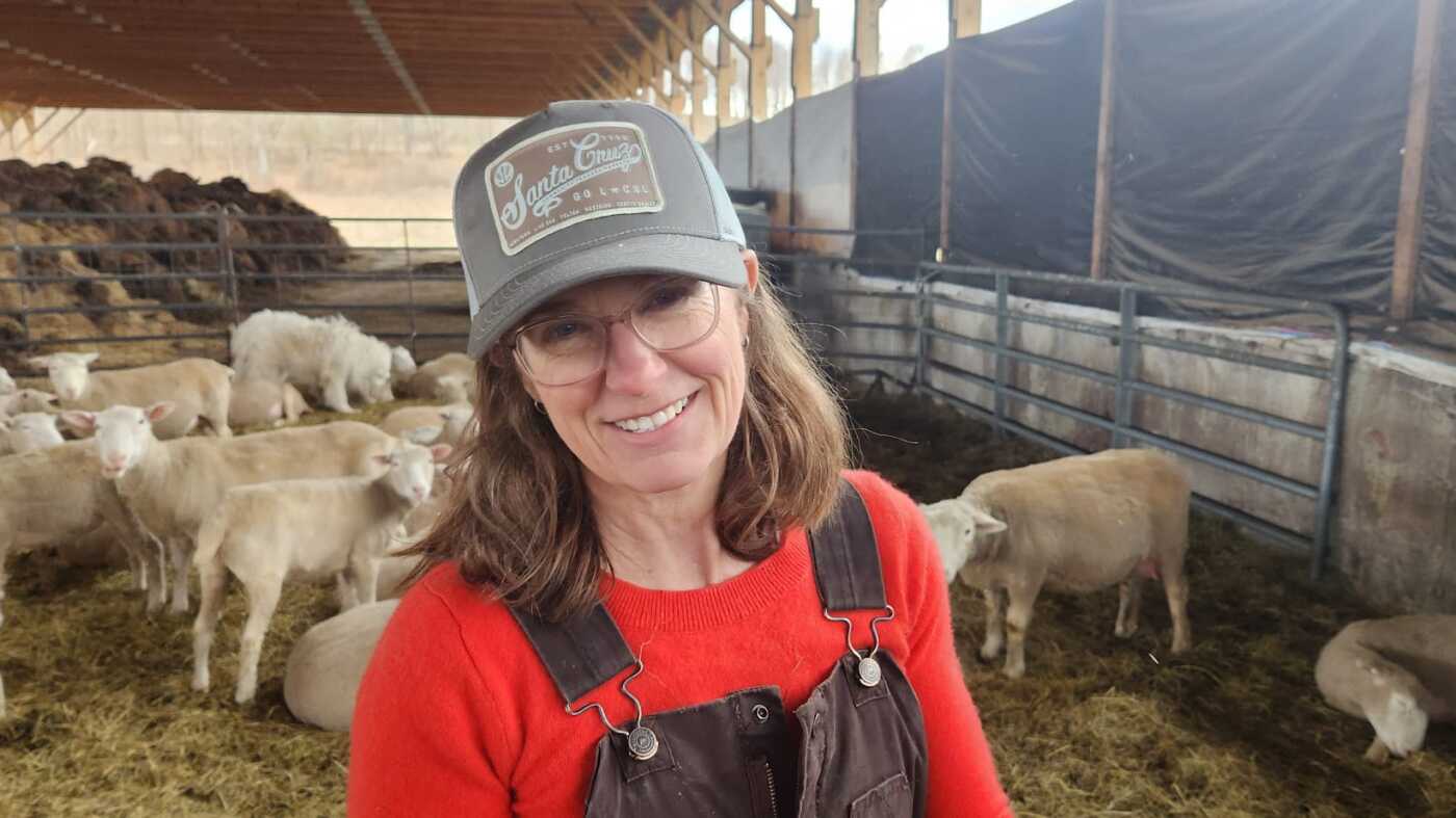 Into the barn: The joys of spring lambing season