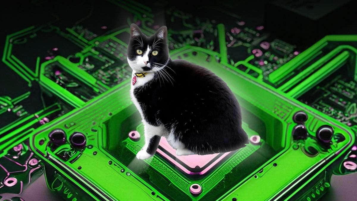 Schrödinger’s cat-inspired quantum computing now 160 times more reliable thanks to new discovery