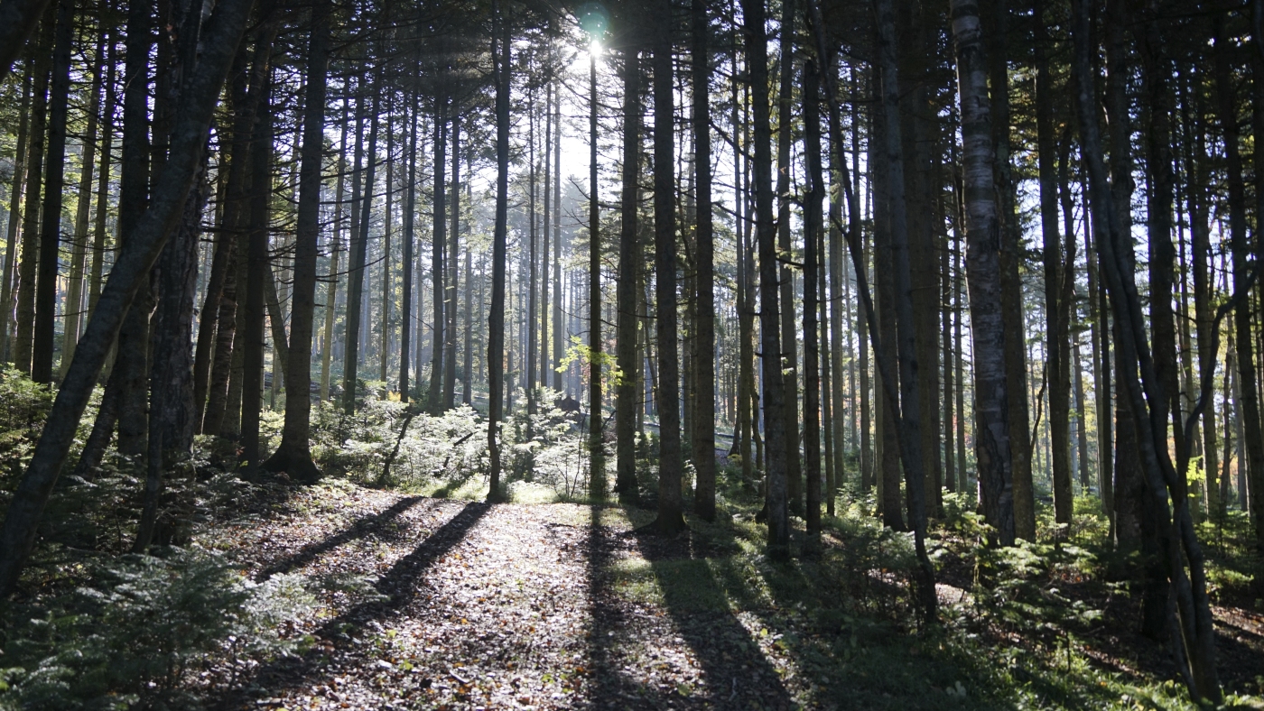 Need Earth Day optimism? Here are some environmental do-gooders in your backyard