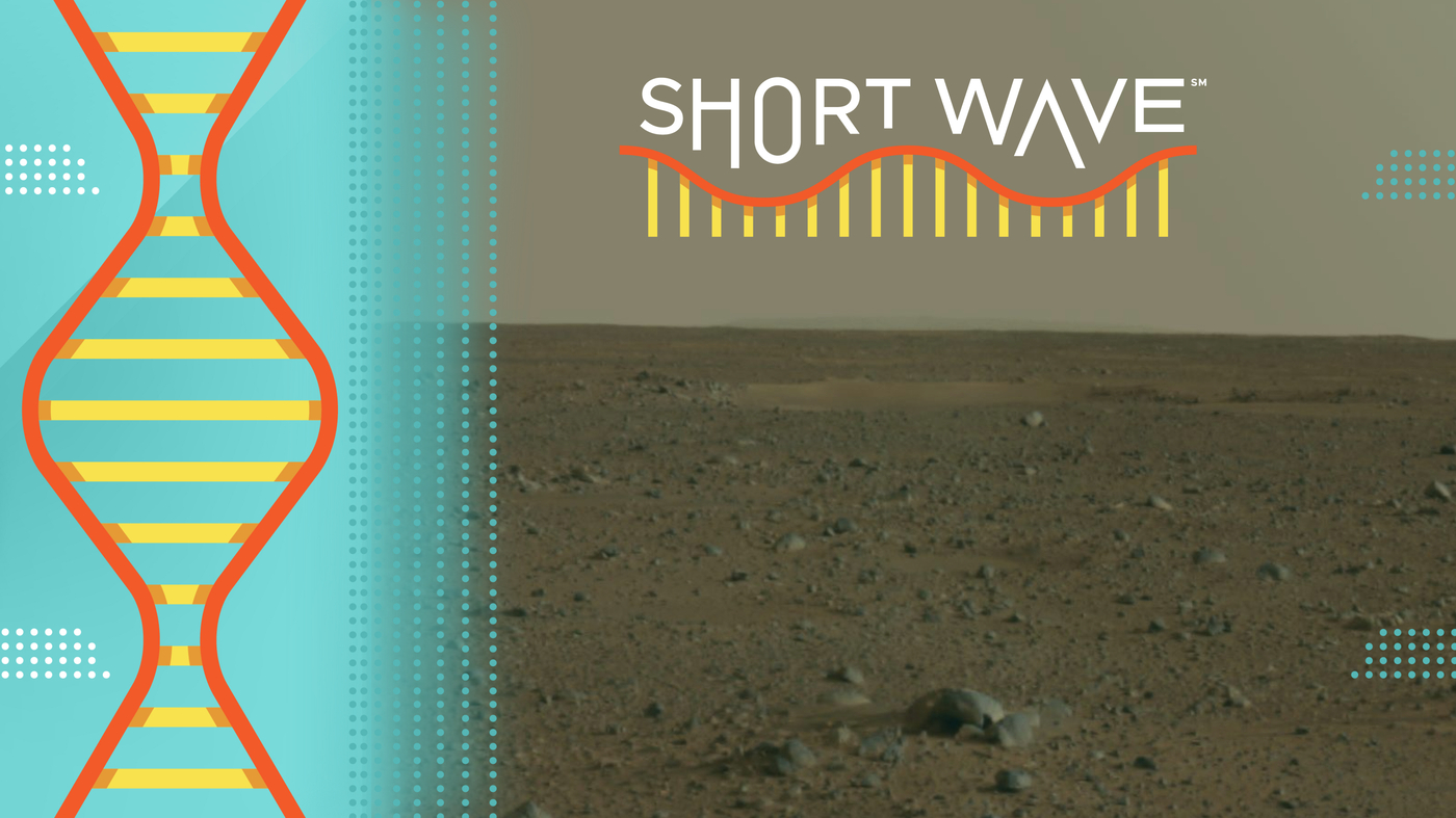 This is what living on Mars could do to the human body