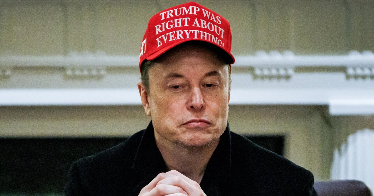 Tesla’s earnings fall far short as investors ask Elon Musk to ditch DOGE