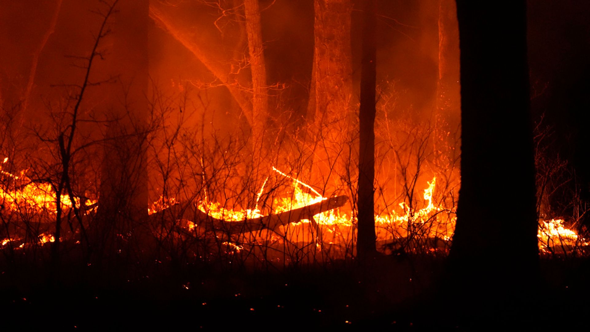 Wildfire sweeps through New Jersey, putting thousands under evacuation orders