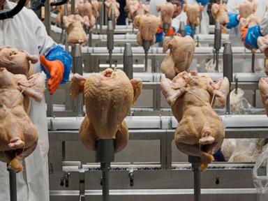 USDA withdraws a plan to limit salmonella levels in raw poultry