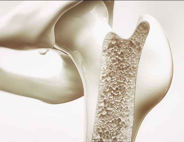Powerful imaging technique developed to study bone marrow in mouse models