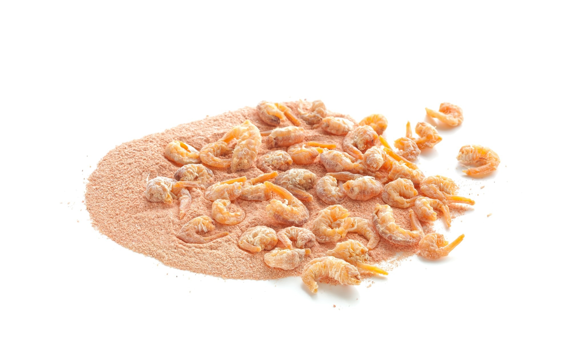 Chitosan clears microplastics from the gut in rats within days