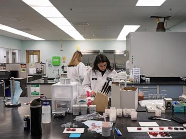 How bugs and beet juice could play roles in the race to replace artificial food dyes