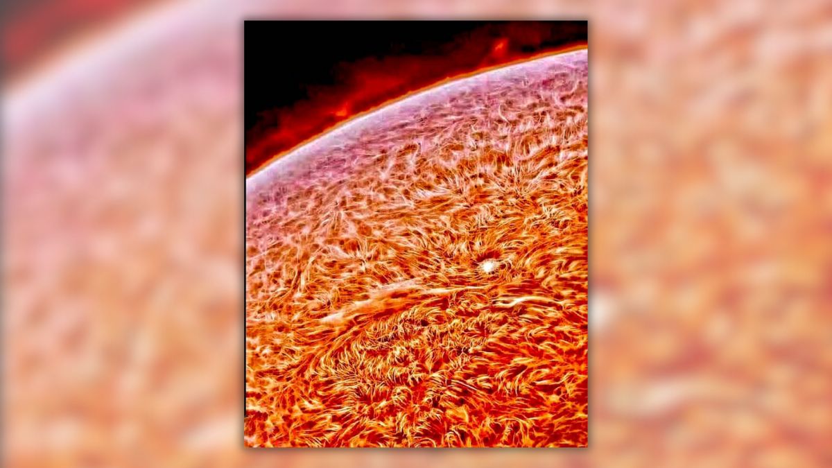 Close-up image of the sun is not NASA photo. Here’s the real story