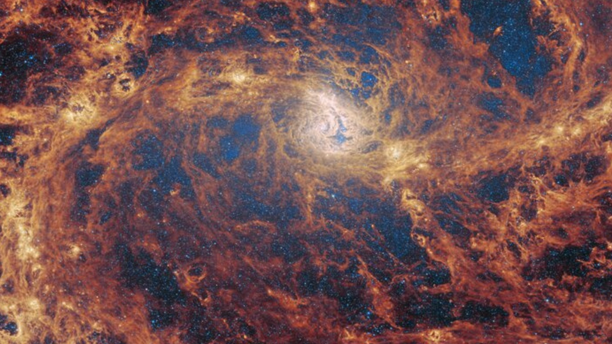 Has the James Webb Space Telescope discovered a ‘missing’ supermassive black hole? (video)
