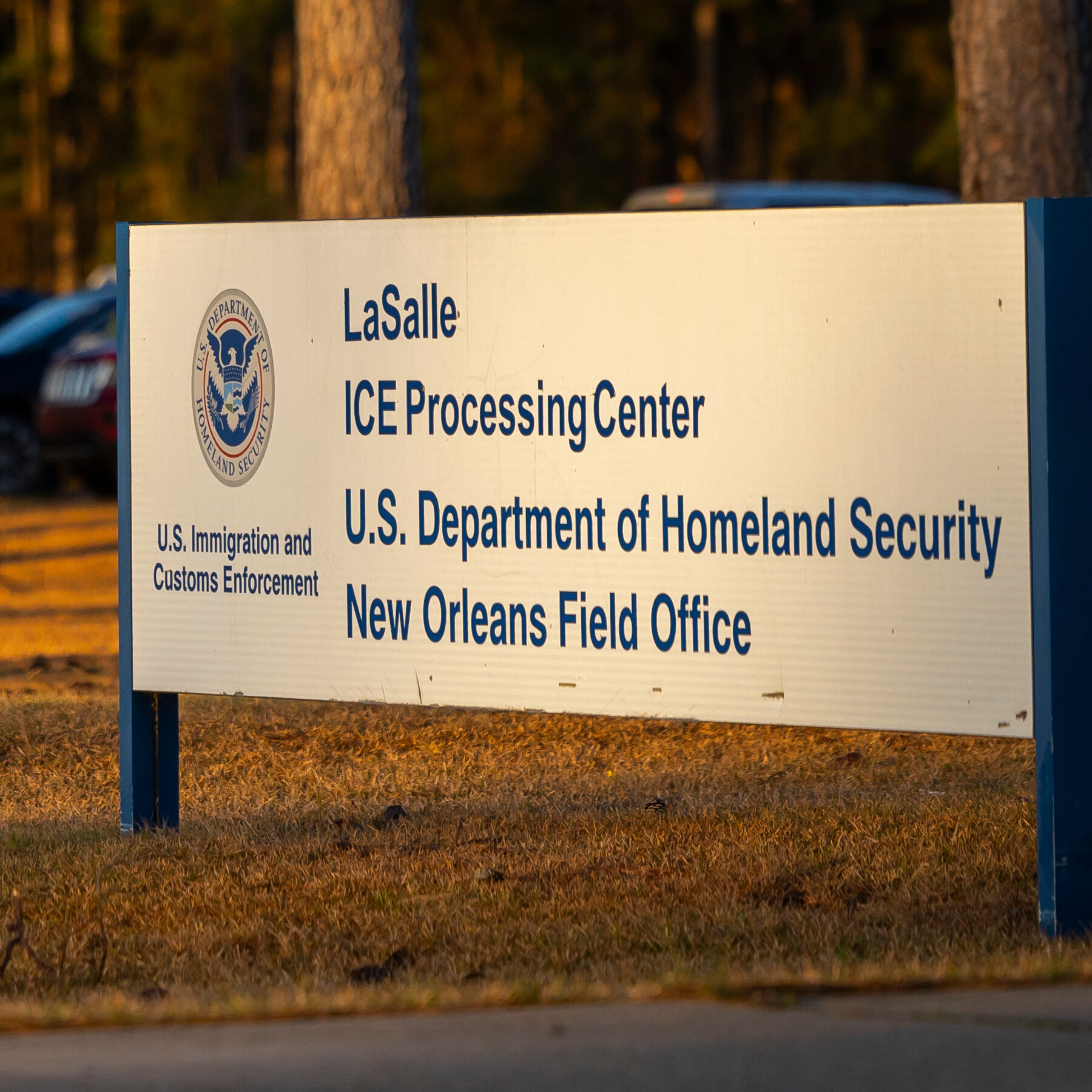 American Children Sent to Honduras, and A.I. on the Battlefield