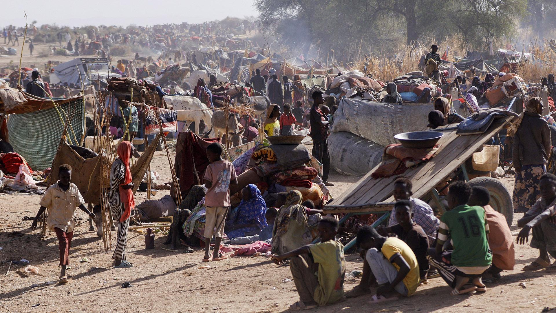Sudan’s RSF accused of ‘war crime’ after 31 people ‘executed’