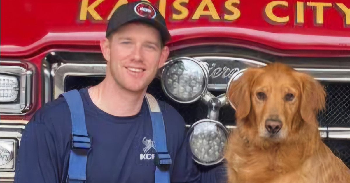 Firefighter paramedic fatally stabbed by patient inside ambulance