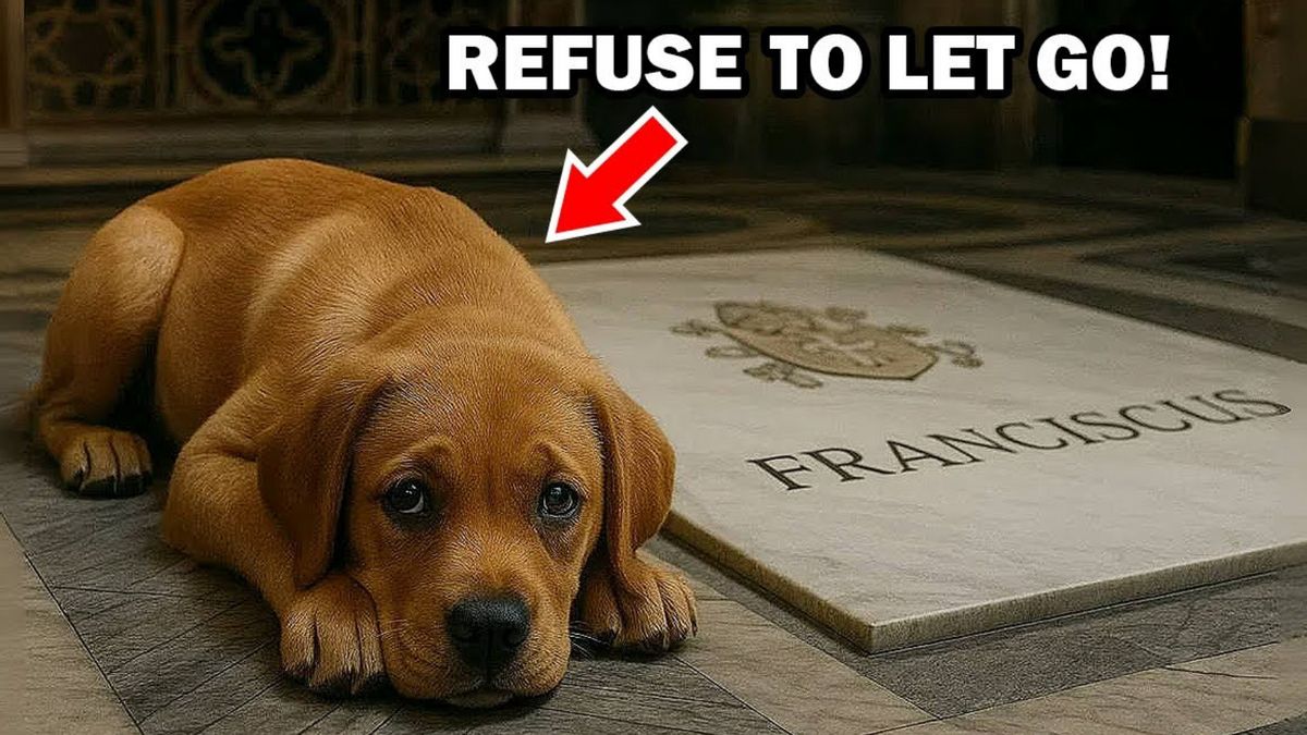 Don’t fall for heartwarming — but fake — story about Pope Francis’ dog not leaving his gravesite