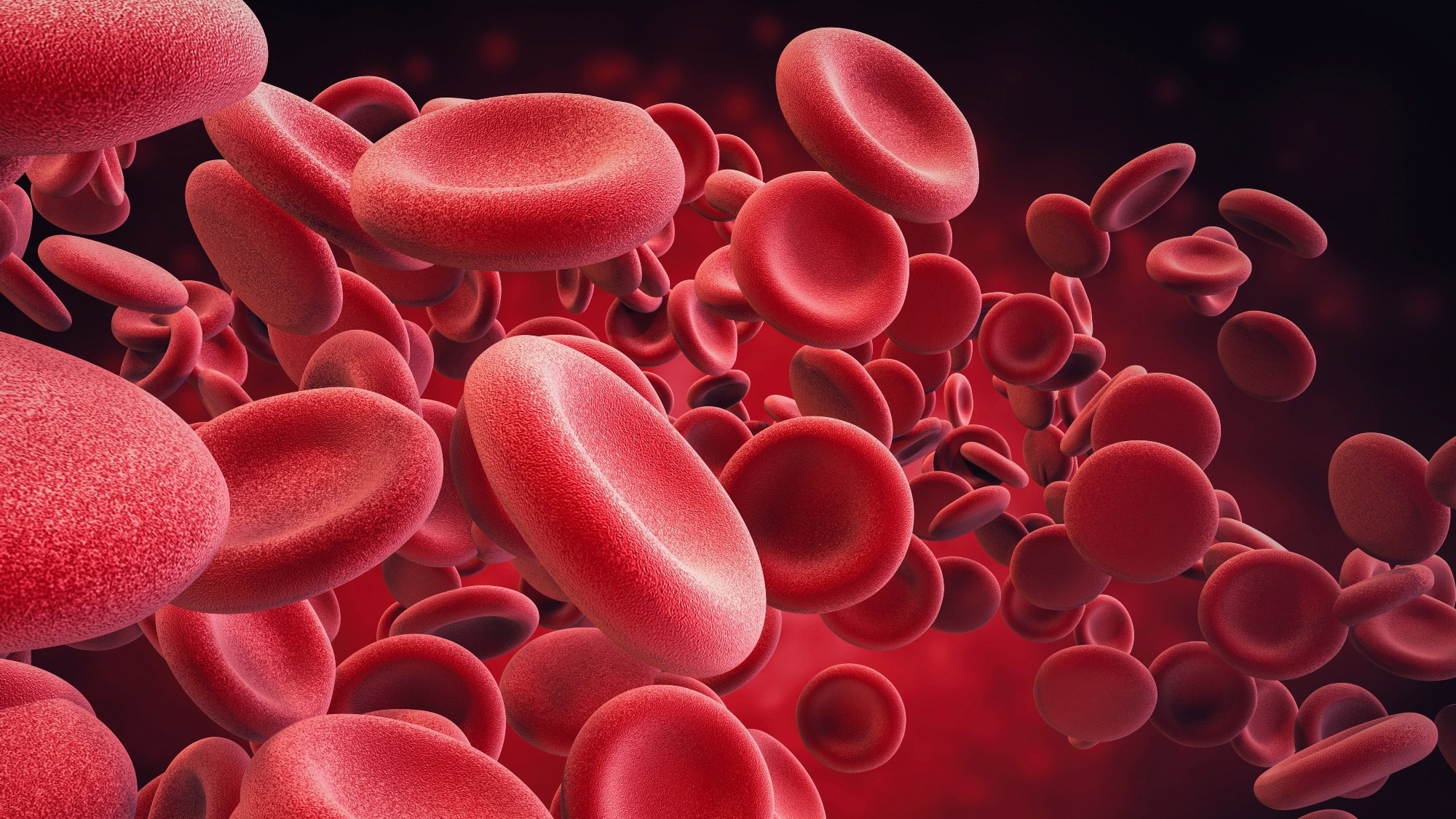 How blood iron levels shape the pace of biological aging