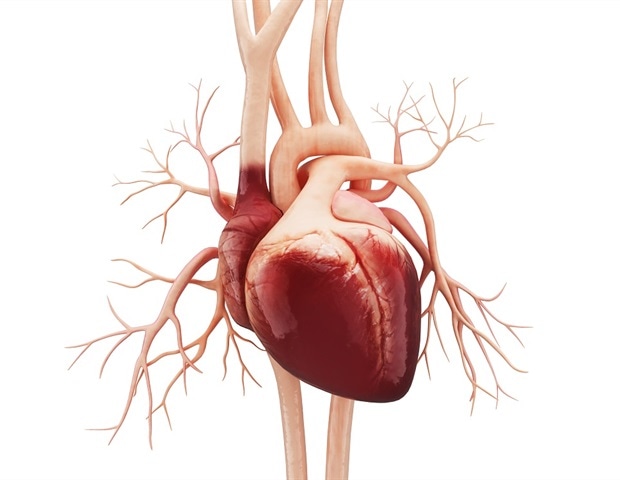 AI tools could prevent maternal heart-related deaths