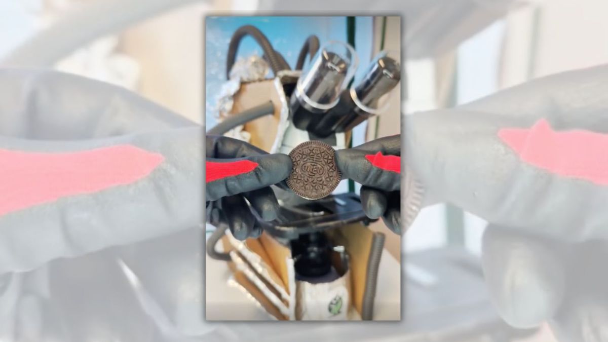 TikTok Video Claims to Show Bug-Infested Oreo Cookie