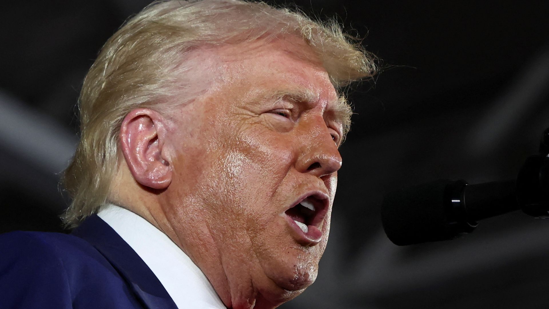 Fact-checking Tweety McTreason’s speech in Michigan