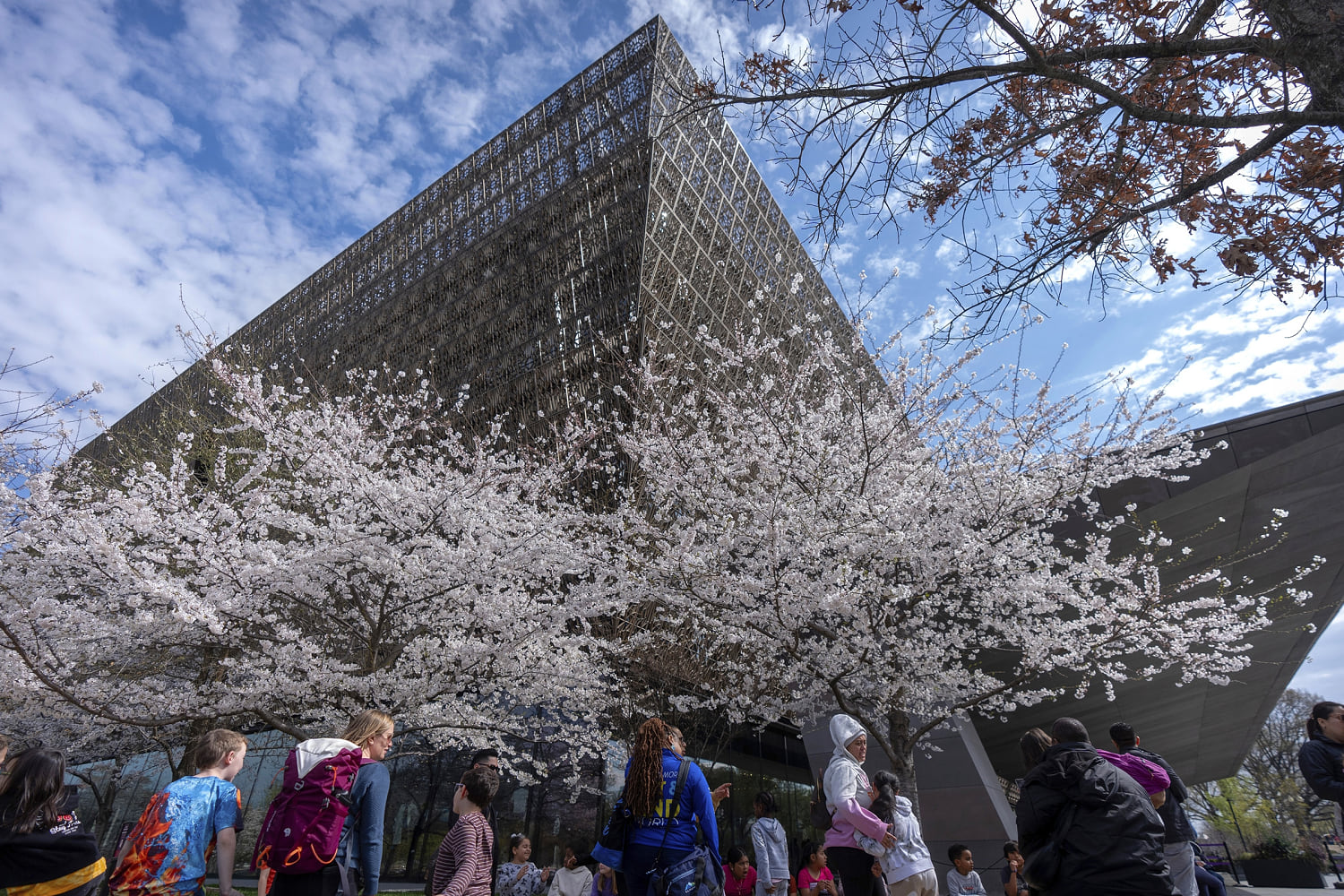 Prominent pastor notified books loaned to African American museum may be returned amid review