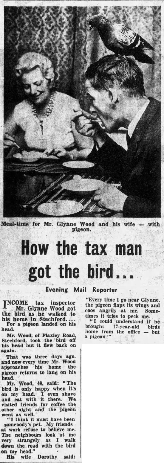 Glynne Wood, the man with a pigeon on his head