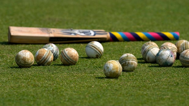 England and Wales ban transgender women from women’s cricket ‘with immediate effect’