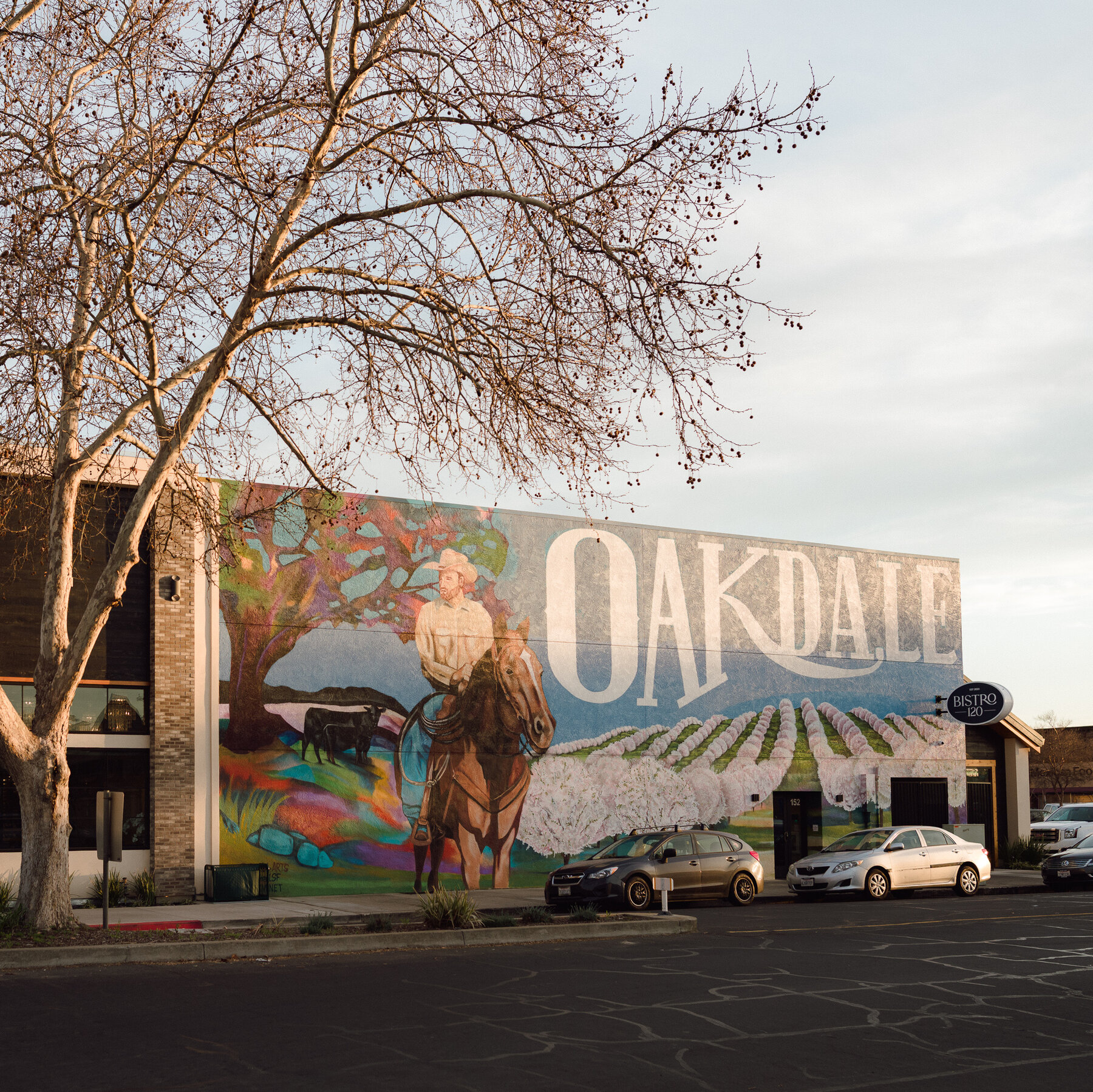 How Misinformation and Partisan ‘New Media’ Changed a California Town