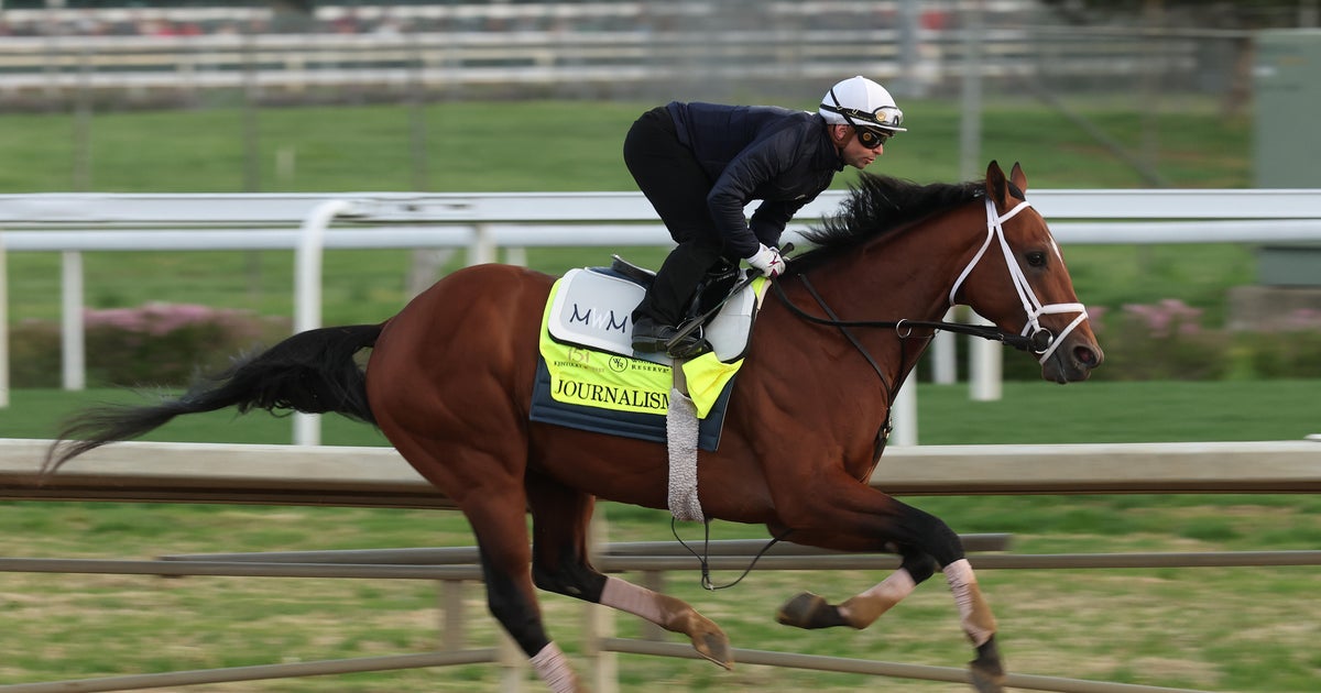 Meet the horses running in the Kentucky Derby