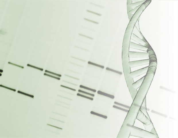 New gene editing tool enables precise control of mitochondrial mutation load