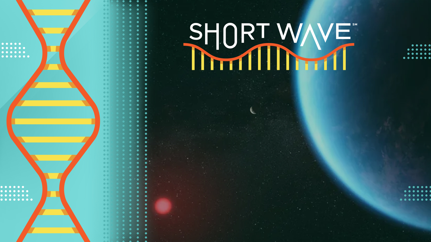 Exoplanet K2-18b: Home to alien life or noisy data?