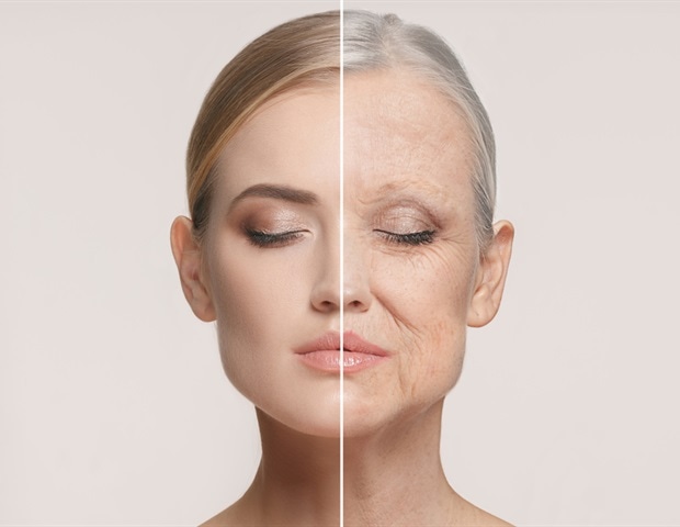 A decade of discovery in the science of healthy aging and human longevity