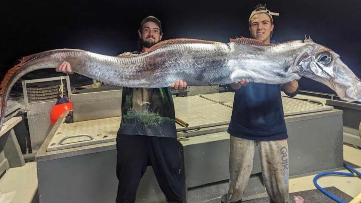 Photo Shows 2 Men Holding ‘Doomsday Fish’?