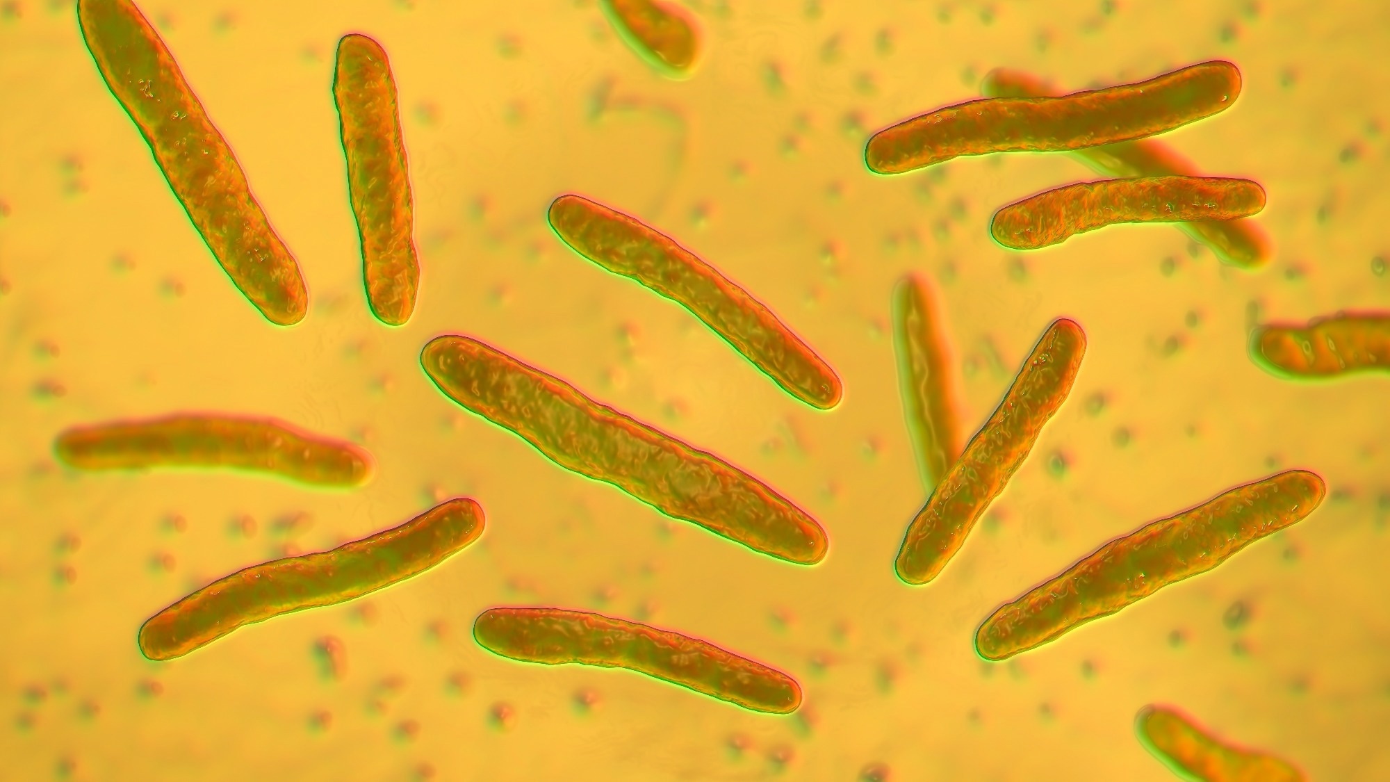 New rifamycin drugs fight antibiotic-resistant lung infections more effectively