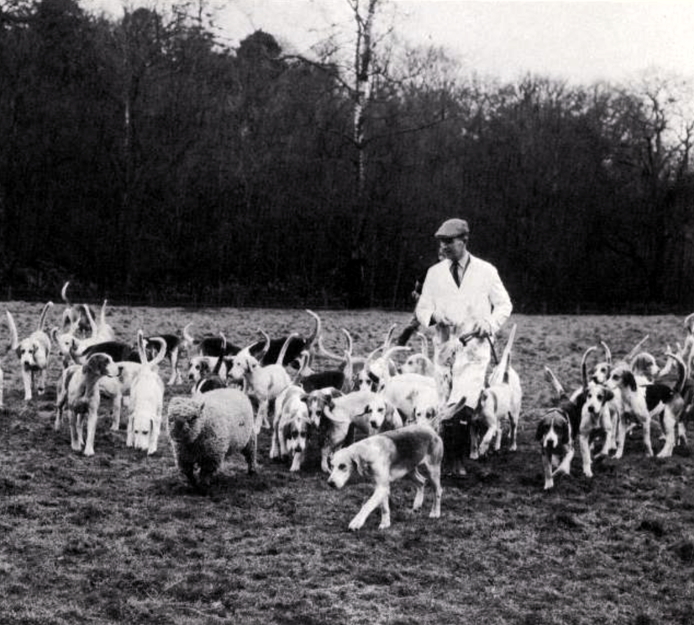 larry-the-lamb
