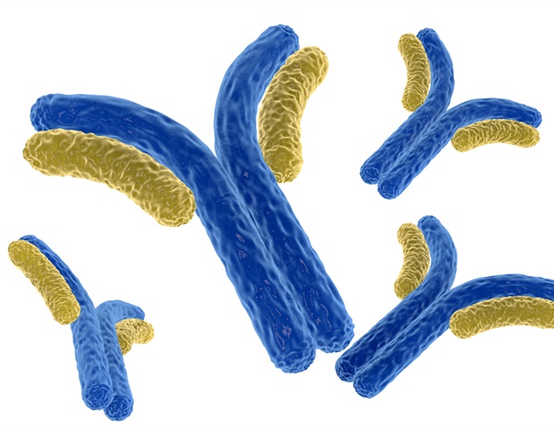 Monoclonal antibody protects mice from lethal influenza A doses