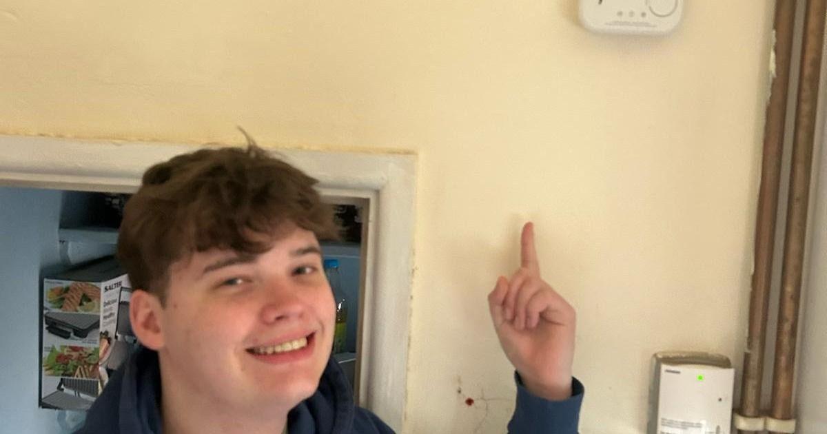 student-so-scared-of-diy-he-paid-tradesman-180-to-change-batteries