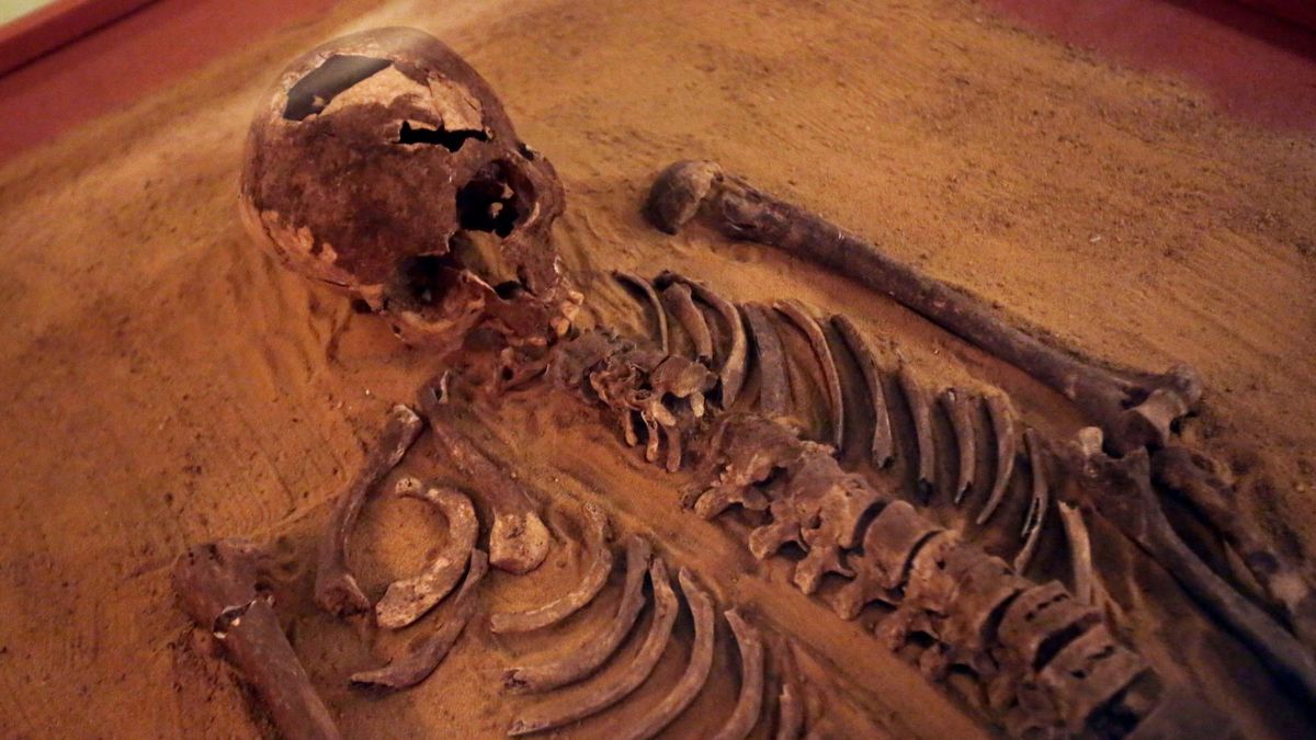 How do archaeologists figure out the sex of a skeleton?