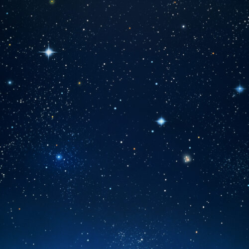 When doctors describe your brain scan as a “starry sky,” it’s not good