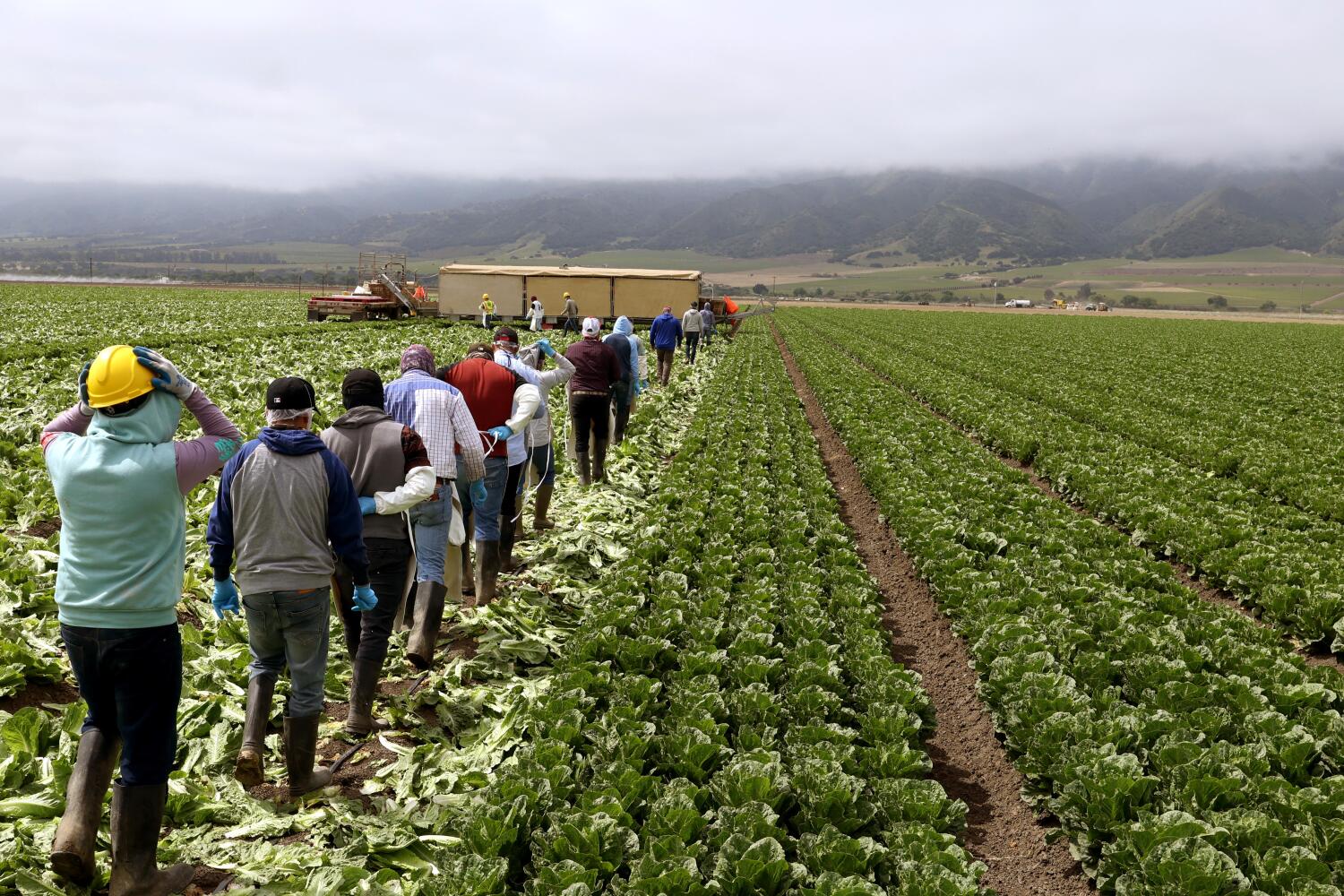 In America’s ‘salad bowl,’ farmers invest in guest worker housing, hoping to stabilize workforce