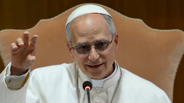 Pope Leo identifies AI as a main challenge for humanity
