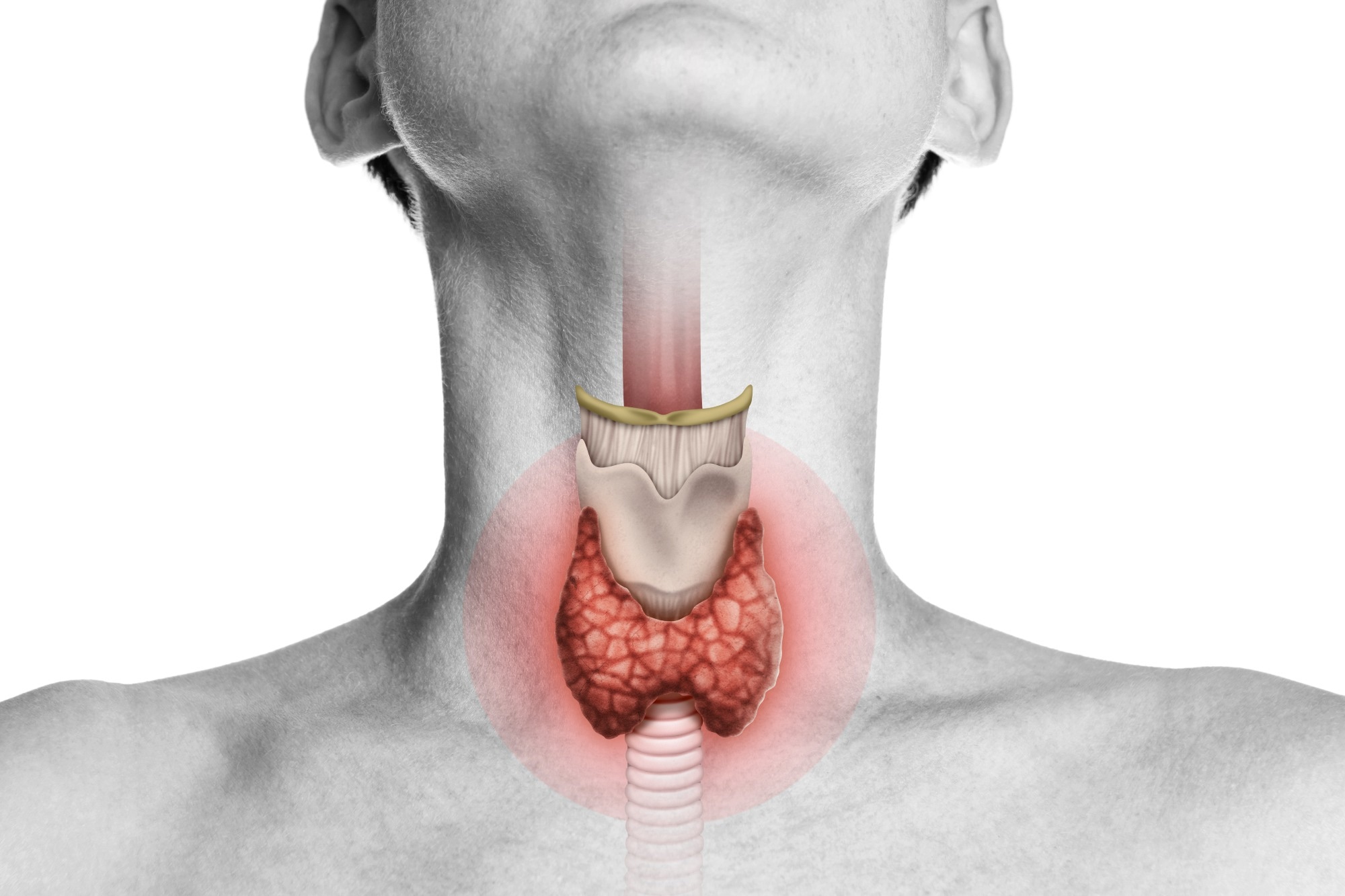 Vegetarians may need to watch thyroid health, especially with low iodine intake