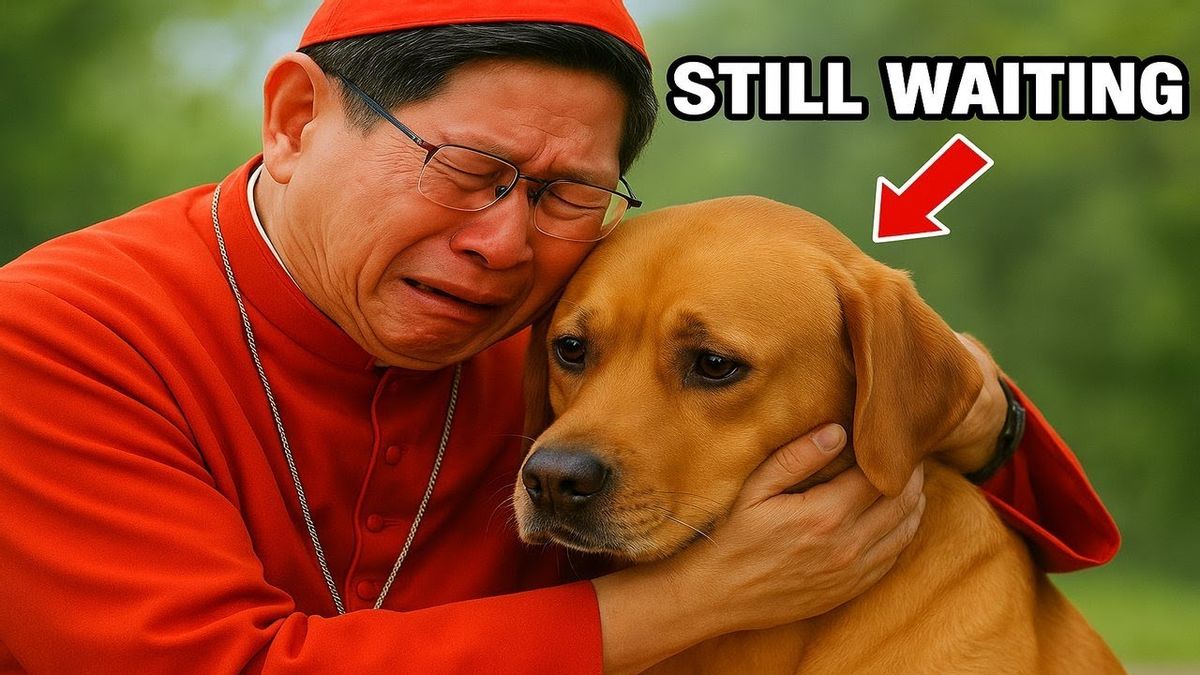 Videos alleging Pope Francis’ loyal dog wouldn’t leave his side, even in death, are AI-generated