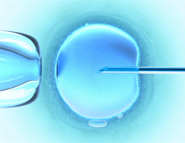 New human ovaroid model offers insight into infertility and differences in sex development