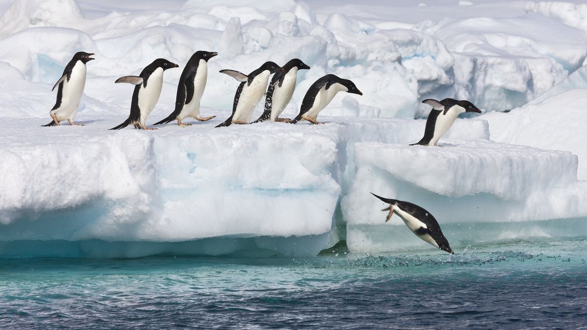 What’s hiding under Antarctica’s ice?