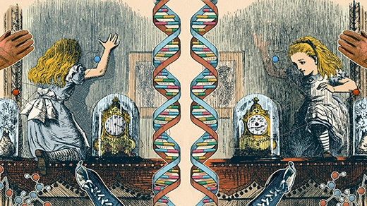 How the Universe Differs From Its Mirror Image